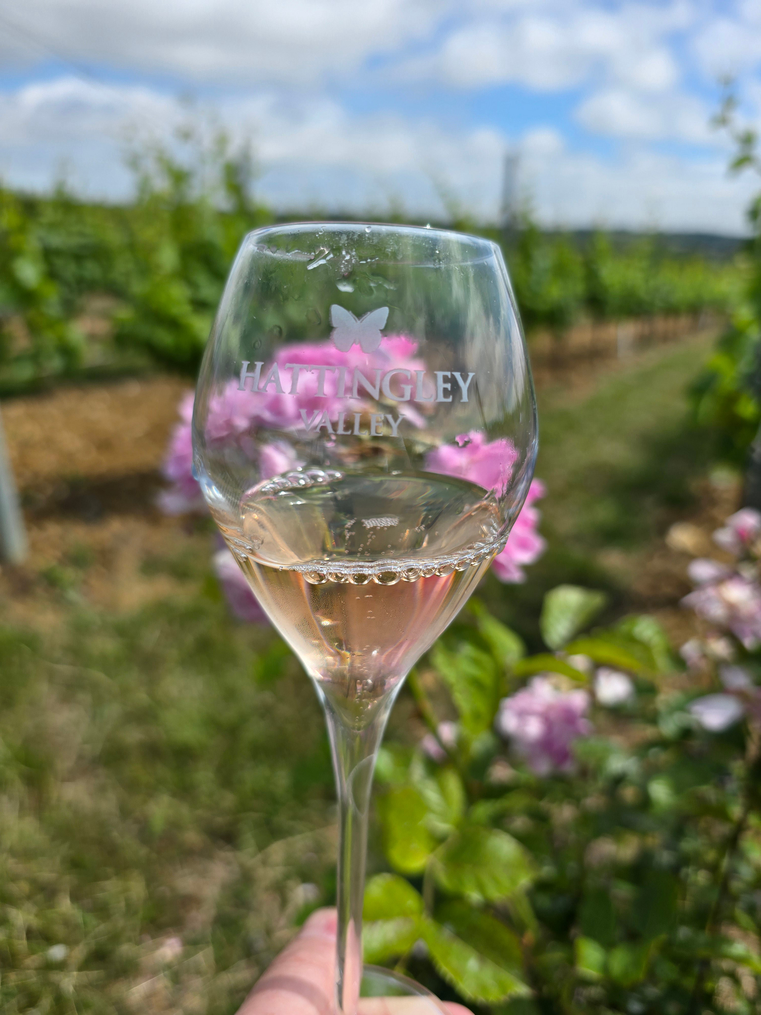 Hattingley Valley Hattingley